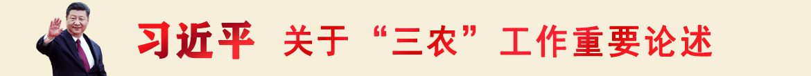 习近平关于“三农”工作重要论述 习近平关于“三农”工作重要论述